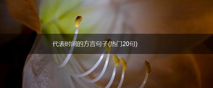 代表时间的方言句子(热门20句),第1张
