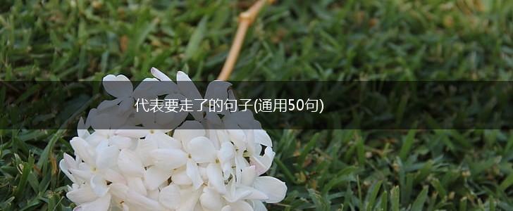 代表要走了的句子(通用50句),第1张