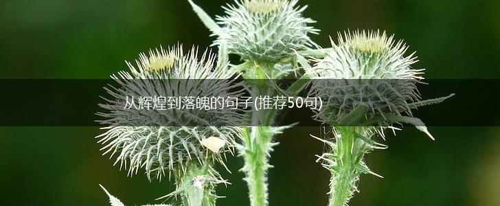 从辉煌到落魄的句子(推荐50句),第1张
