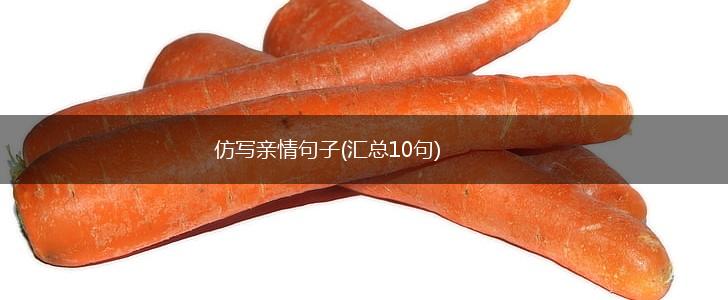 仿写亲情句子(汇总10句),第1张