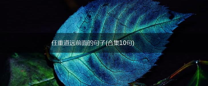 任重道远前面的句子(合集10句),第1张