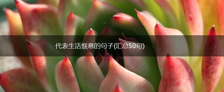 代表生活惬意的句子(汇总50句),第1张