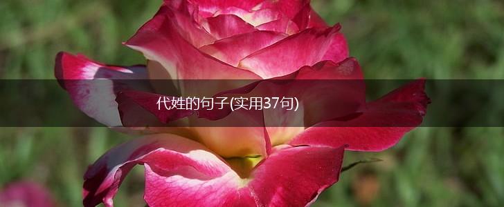代姓的句子(实用37句),第1张