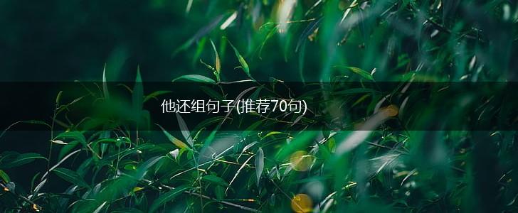 他还组句子(推荐70句),第1张