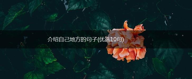 介绍自己地方的句子(优选10句),第1张