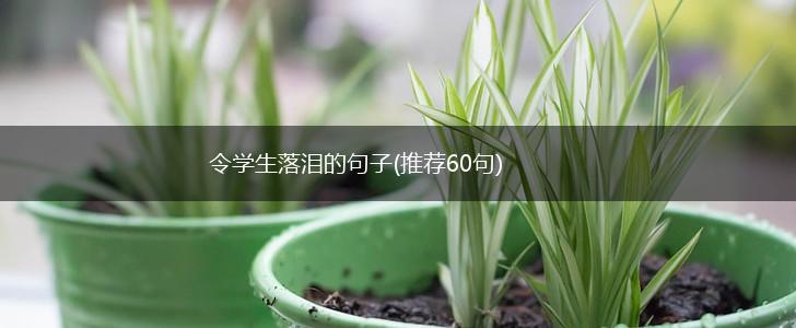 令学生落泪的句子(推荐60句),第1张