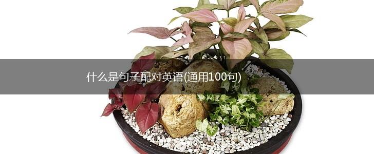 什么是句子配对英语(通用100句),第1张