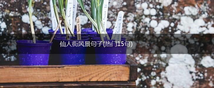 仙人街风景句子(热门15句),第1张