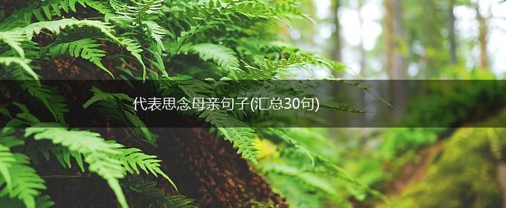 代表思念母亲句子(汇总30句),第1张