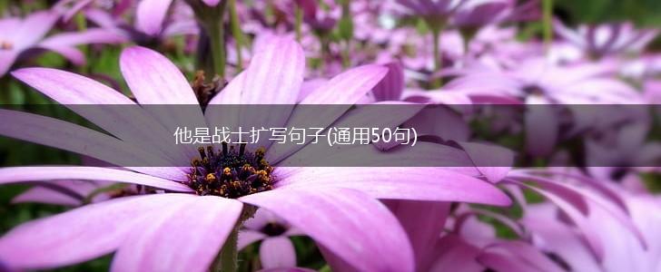 他是战士扩写句子(通用50句),第1张