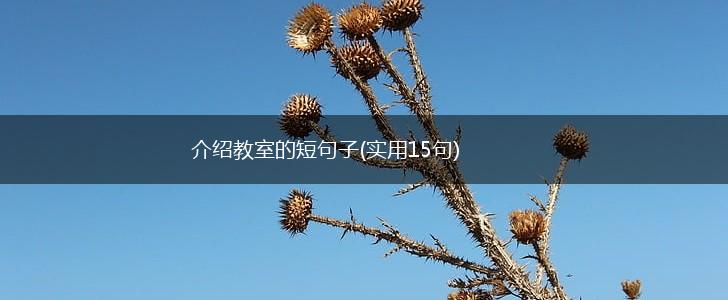 介绍教室的短句子(实用15句),第1张