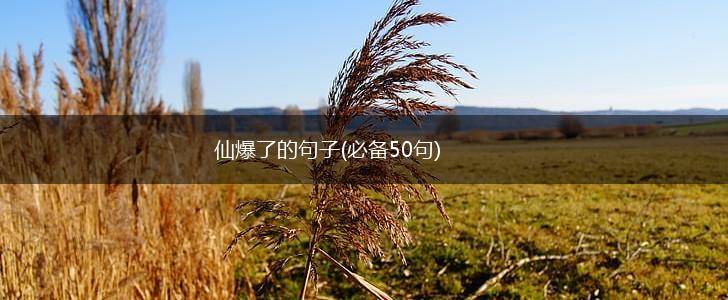 仙爆了的句子(必备50句),第1张