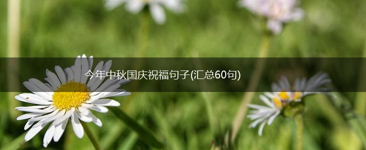 今年中秋国庆祝福句子(汇总60句),第1张