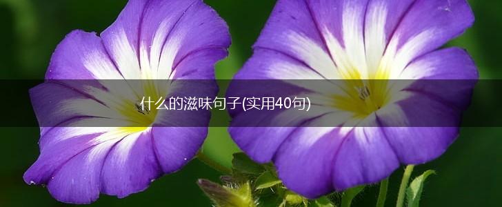什么的滋味句子(实用40句),第1张