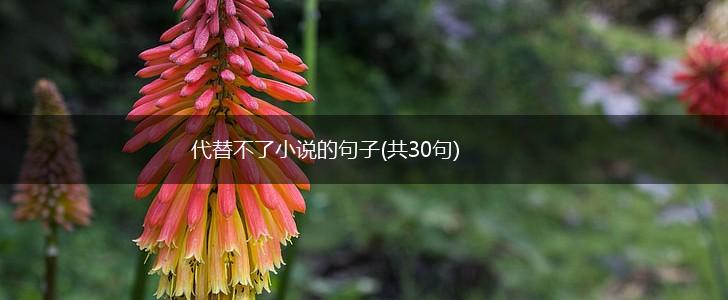 代替不了小说的句子(共30句),第1张