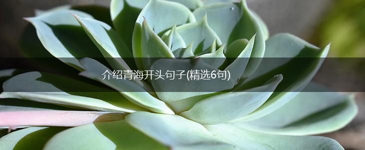 介绍青海开头句子(精选6句),第1张