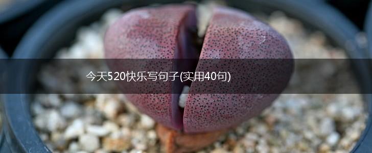 今天520快乐写句子(实用40句),第1张