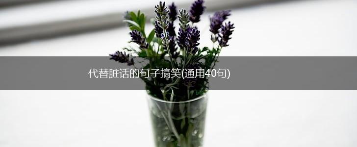 代替脏话的句子搞笑(通用40句),第1张
