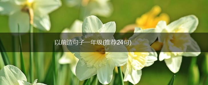 以前造句子一年级(推荐24句),第1张