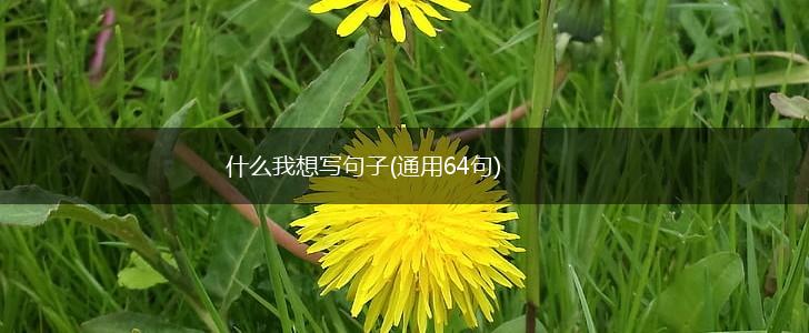 什么我想写句子(通用64句),第1张
