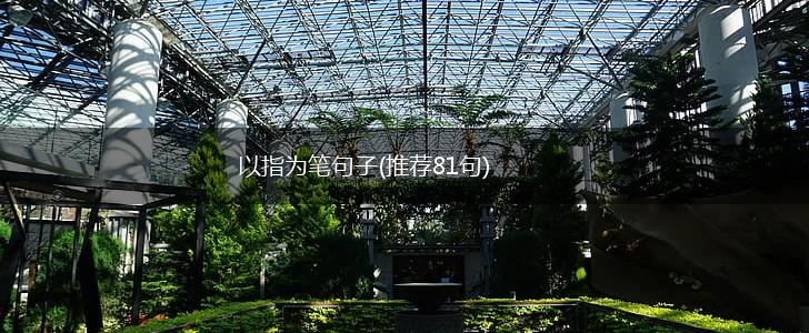 以指为笔句子(推荐81句),第1张
