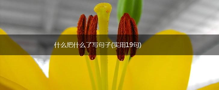 什么把什么了写句子(实用19句),第1张