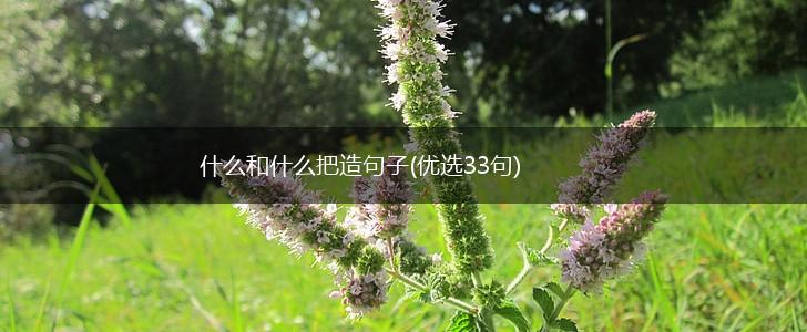 什么和什么把造句子(优选33句),第1张