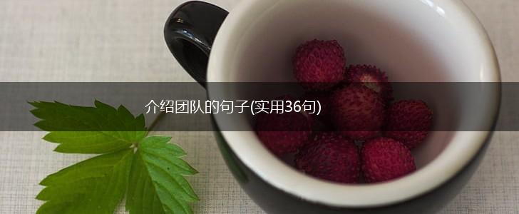 介绍团队的句子(实用36句),第1张