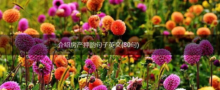 介绍房产押韵句子英文(80句),第1张