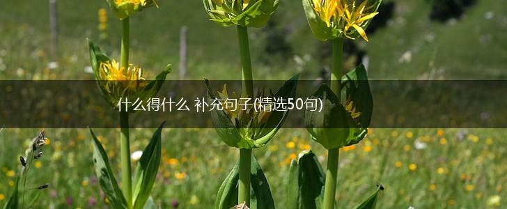 什么得什么 补充句子(精选50句),第1张