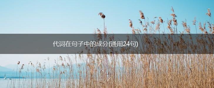 代词在句子中的成分(通用24句),第1张