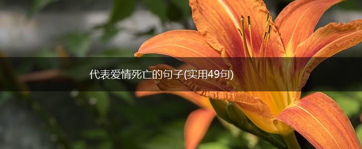 代表爱情死亡的句子(实用49句),第1张