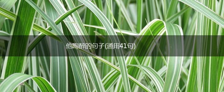 他陶醉的句子(通用41句),第1张