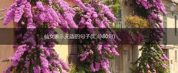 仙女表示无语的句子(汇总80句),第1张