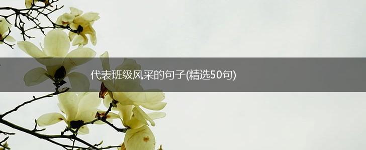 代表班级风采的句子(精选50句),第1张