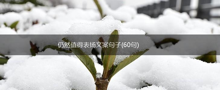 仍然值得表扬文案句子(60句),第1张