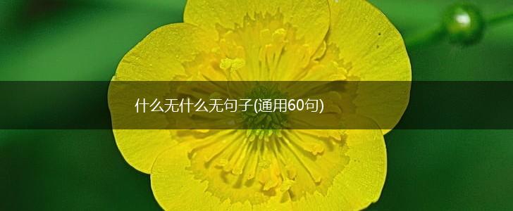 什么无什么无句子(通用60句),第1张