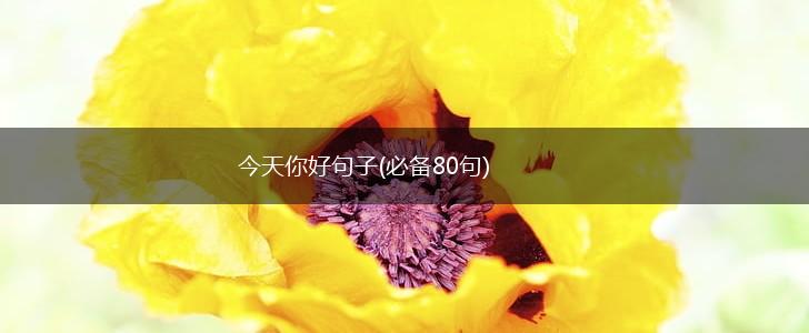 今天你好句子(必备80句),第1张