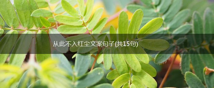 从此不入红尘文案句子(共15句),第1张