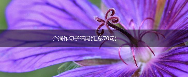 介词作句子结尾(汇总70句),第1张