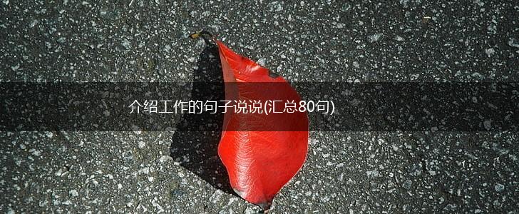 介绍工作的句子说说(汇总80句),第1张