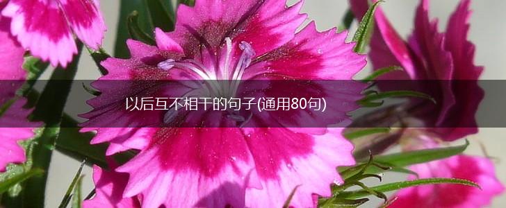 以后互不相干的句子(通用80句),第1张