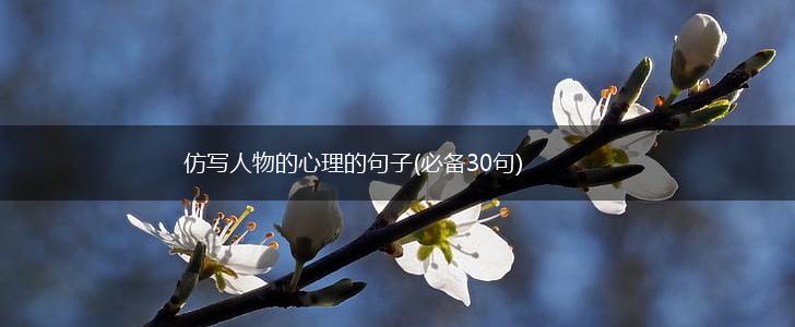 仿写人物的心理的句子(必备30句),第1张