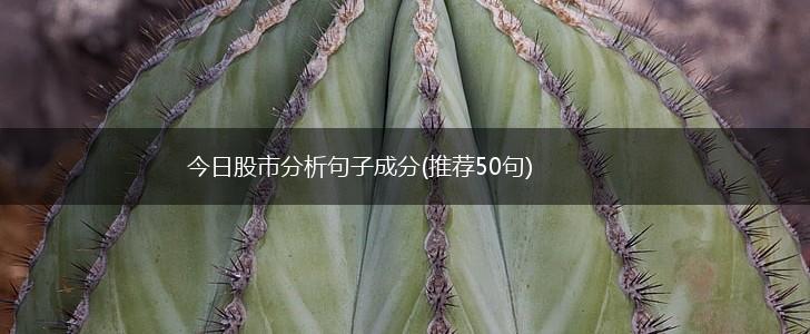 今日股市分析句子成分(推荐50句),第1张