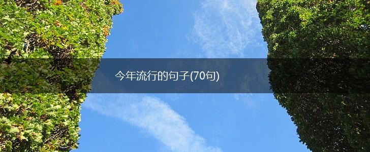 今年流行的句子(70句),第1张