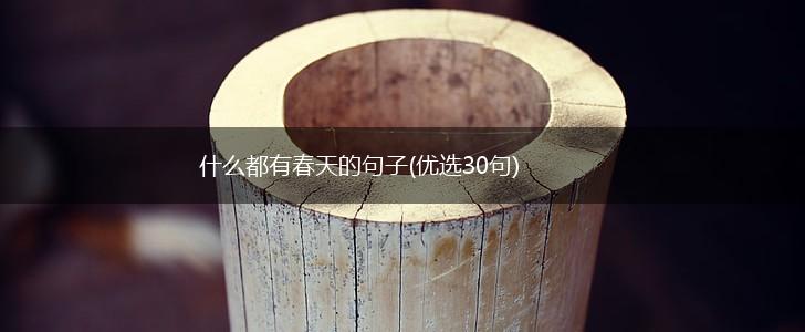 什么都有春天的句子(优选30句),第1张