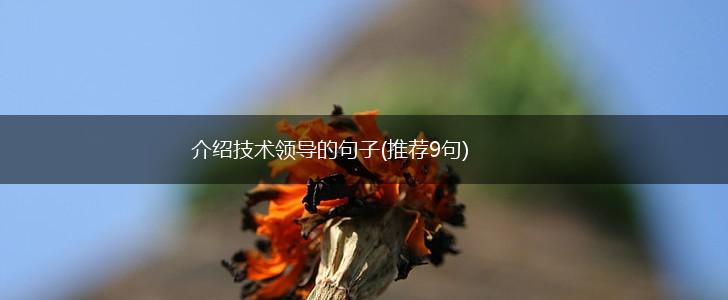 介绍技术领导的句子(推荐9句),第1张