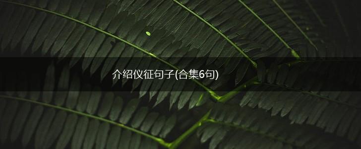 介绍仪征句子(合集6句),第1张