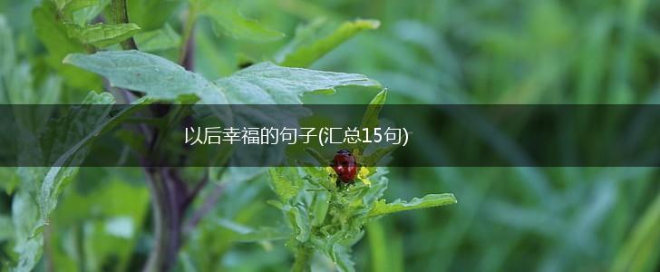 以后幸福的句子(汇总15句),第1张