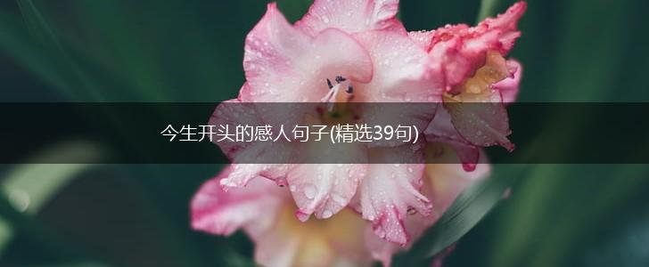 今生开头的感人句子(精选39句),第1张